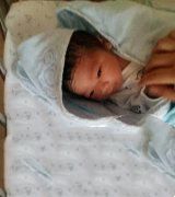 lesbian试管组建完美家庭