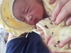 恭喜丁克家族成功助孕