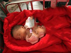 恭喜广州L女士，喜得贵子