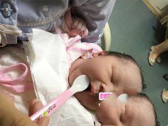 恭喜梅女士助孕成功