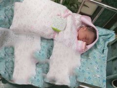 恭喜Z先生大胖小子顺利诞生