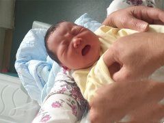 死精症成功助孕