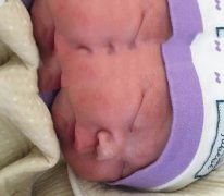 广州董先生喜得一子